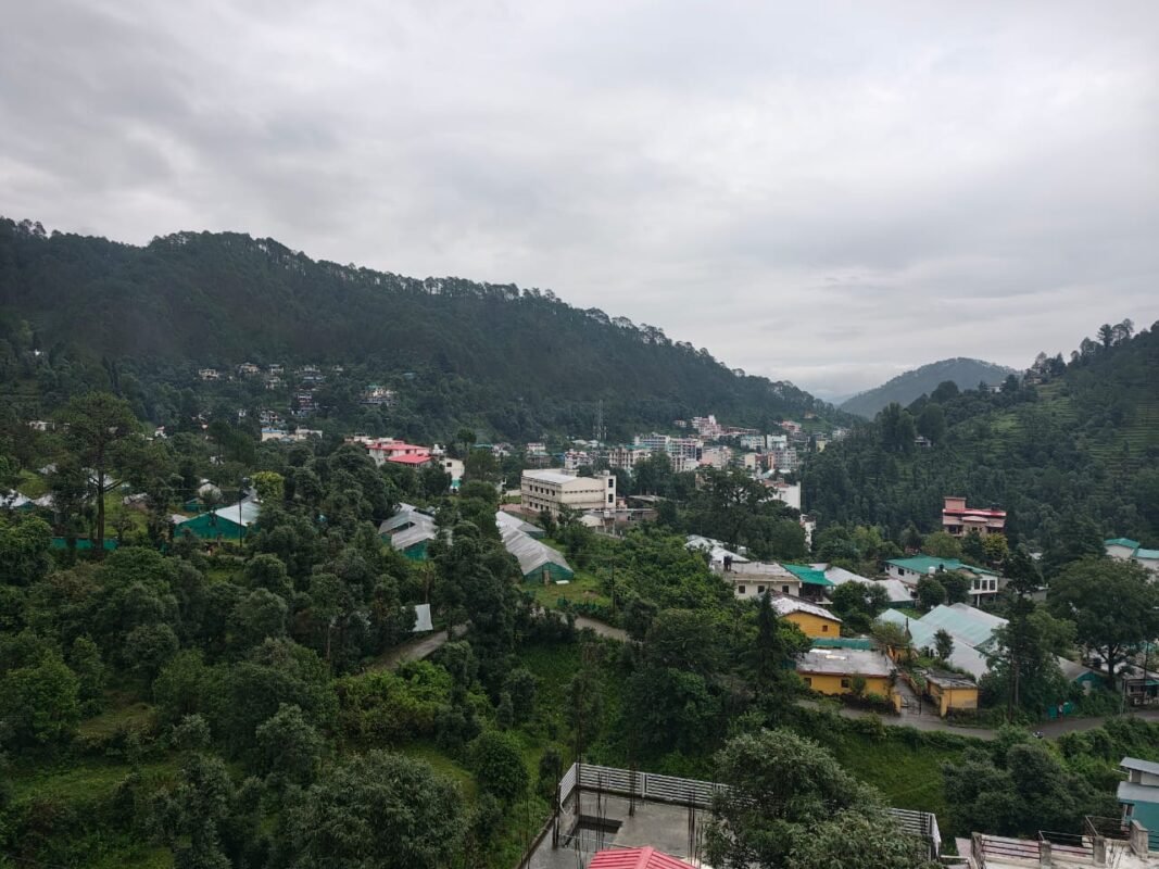 HeyyPal from Hills